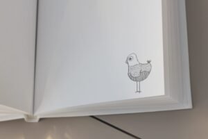 baltai balta krikšto knyga "Paukštukai"