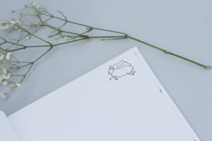 krikstynu dovanos kriksto knyga hug a book