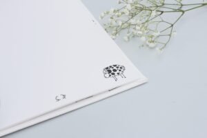 krikstynu dovanos kriksto knyga hug a book