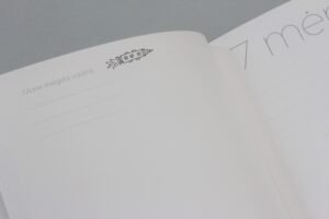 Kudikio albumas baltai balta