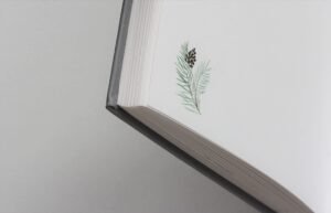 polaroid wedding guest book/ hug a book