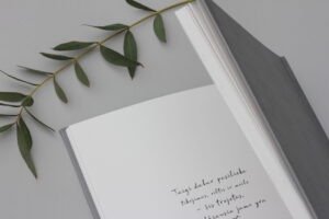 polaroid wedding guest book/ hug a book