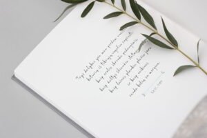 polaroid wedding guest book/ hug a book