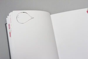 Hug a book pirmuju metu kudikio albumas braškė