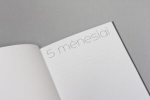 Hug a book pirmuju metu kudikio albumas braškė