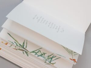 hug a book vestuvių svečių knyga