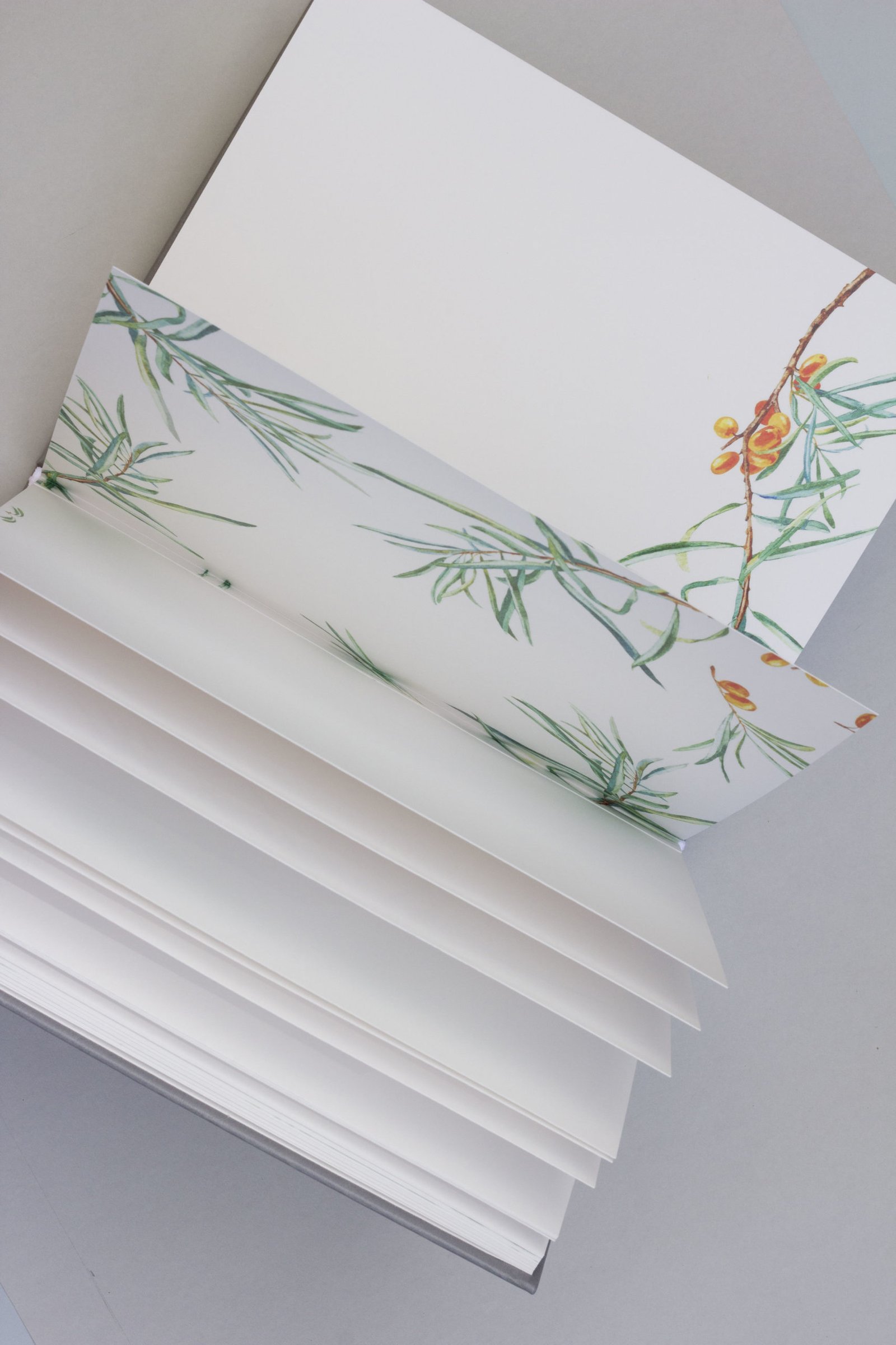 hug a book vestuvių svečių knyga